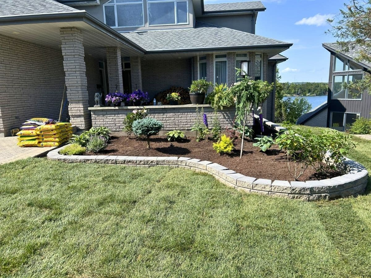 Backyard landscaping refresh