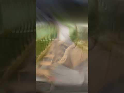 Thumbnail for Hasner and Sons - Let Him Cook!